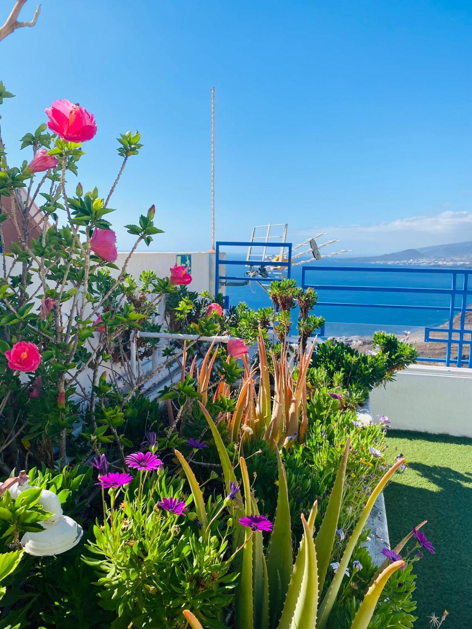 Apartamento Atlantico Santa Cruz de Tenerife Exteriér fotografie